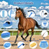 13-Piece Set Set Horse Grooming Kit, Horse Brush with Organizer Bag Complete Care, Mane Braiding Kit, Brushes & Curry
