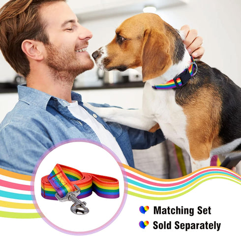 Native Pup Rainbow Flag Dog Collar, Large, LGBTQ Flags Equality Pet Apparel Decor Gift