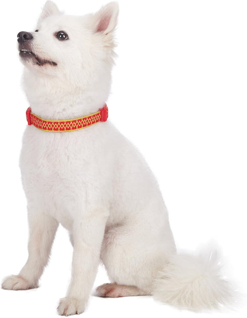 Blueberry Pet Adjustable Dog Collar, Gold Metallic Thread Zigzag, True Red, Small, Neck 12"-16"