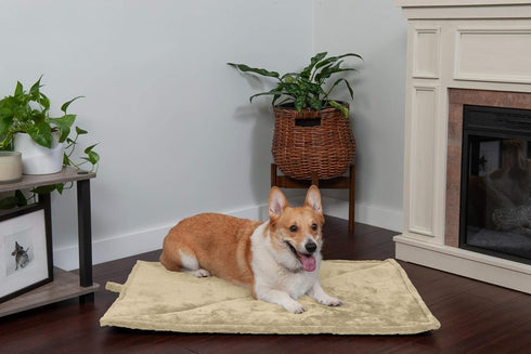 Furhaven ThermaNAP Self-Warming Cat Bed, Cream, Small - Washable & Reflects Body Heat