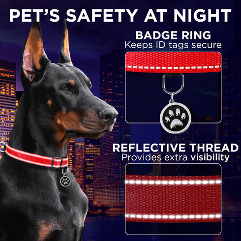 TECEUM Reflective Pet Collar – Basic Nylon Dog Collar – Quick Release Buckle – Red – M – Fits Small, Medium and Large