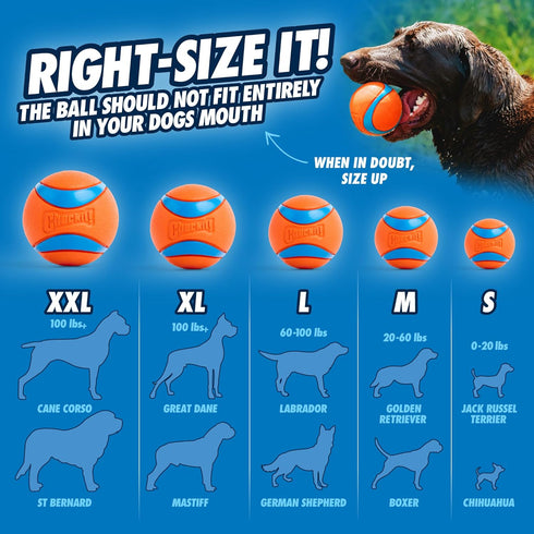 Chuckit Pro Fetch Toy Ball Launcher for Dogs, Compatible with Medium Chuckit!, 25 Inch + Glow Ball