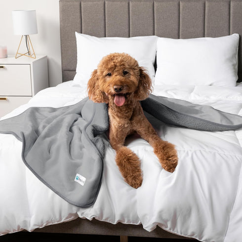 40x60 PetAmi Waterproof Dog & Cat Blanket, Pee Proof for Couch, Reversible, Soft Fleece, Washable, Light Gray