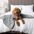 40x60 PetAmi Waterproof Dog & Cat Blanket, Pee Proof for Couch, Reversible, Soft Fleece, Washable, Light Gray