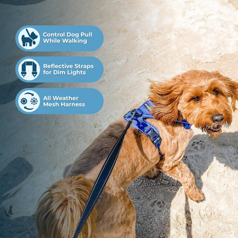 Voyager No Pull Dog Harness for Small Dogs, Adjustable Soft Pet Harness with Dual Leash Attachments, Royal Blue