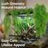 RAINFLOW 2PCS Decor(L30 xW5.1) Reptile Plants for Terrarium - Fake Hanging Terrarium Plants, Artificial Boston Fern