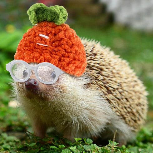 8 Pcs Hamster Hat Pet Costume Glasses, Includes 4 Knitted Hats and 4 Pairs of Glasses for Small Animals
