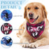 2 LEIFIDE Pieces Gender Reveal Baby Announcement It's a Girl or It's a Boy Dog Bandana Pregnancy Plaid Triangle Pet