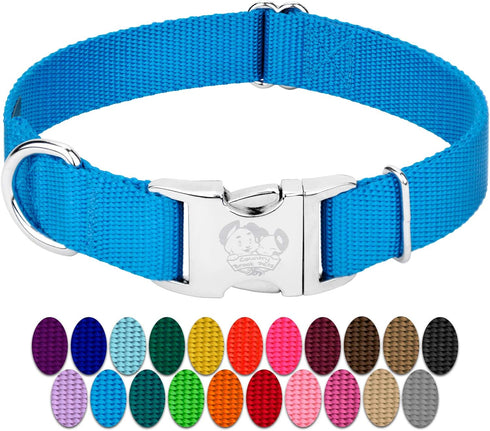 Country Brook Petz Premium Nylon Dog Collar with Metal Buckle, Large, 1 Inch, Ice Blue