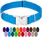 Country Brook Petz Premium Nylon Dog Collar with Metal Buckle, Large, 1 Inch, Ice Blue
