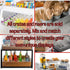 TableCraft Products CRATE12 Gastro Serving and Display Crate - Acacia Wood, 12 3/4" x 10 1/2" x 2 3/4"