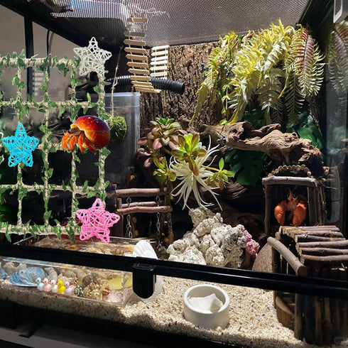 Delllala SetHermit Hermit Crab Climbing Toys Crab Habitat Tank Accessories,Also for Small Lizard Chameleon Leopard