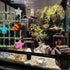 Delllala SetHermit Hermit Crab Climbing Toys Crab Habitat Tank Accessories,Also for Small Lizard Chameleon Leopard