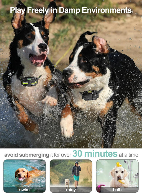 Dog Shock Collar 2 Pack, Dog Training Collar with Remote, IP65 Waterproof E Collar for Dogs with Shock, Vibrate, Beep