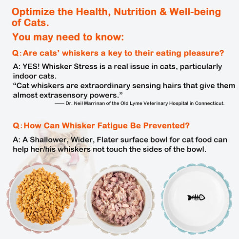 ???????? ?????? Anti Whisker Fatigue Cat Bowls Set, Healthy Ceramic Cute Flat Cat Food Bowl for Indoor Cats, Cat Dishes Shallow Wide Cat Plates for Wet Food, Small Whisker Friendly Cat Feeding Bowls