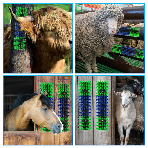 Rouisxue Posts(4pcs, Livestock Scratch Brush for Cattle, Horses, Goats, Cow, Durable Scratching Brush, Massage Grooming