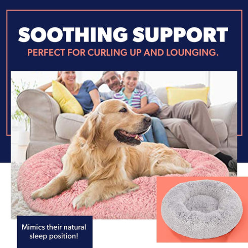 Premium Portable Dog Beds for Medium and Large Dogs - Travel Furniture - Fits Dogs up to 45 lbs, Light Grey (Medium)