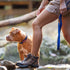 EzyDog Zero Shock Leash - Shock Absorbing Bungee Dog Leash & Training Lead, Double Handle Reflective for Walking,