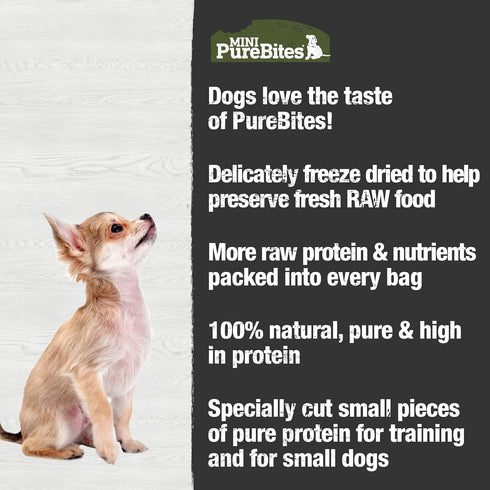 PureBites Mini Beef Freeze Dried Dog Treats, 1 Ingredient, Made in USA, 3oz