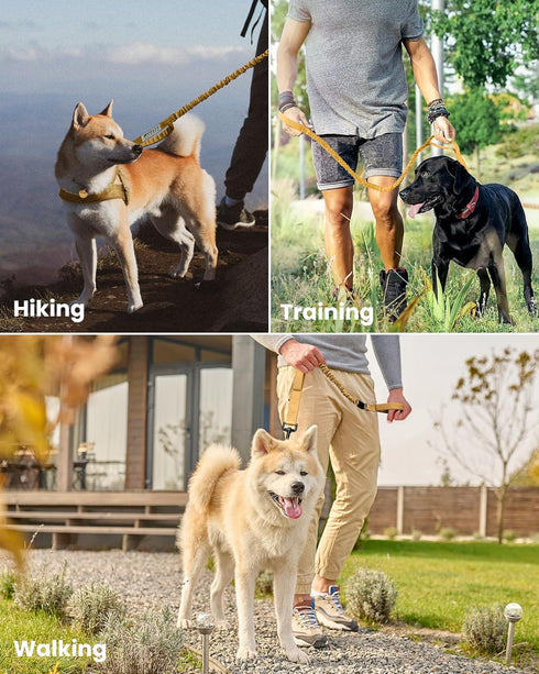 OutdoorMaster Bungee Dog Leash, Heavy Duty Leash with Shock Absorption, 2 Padded Handles for Improved Safety and