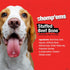 Chomp'ems Stuffed Rib Eye Bone, 6" Peanut Butter, 1pk, Healthy Dog Treats