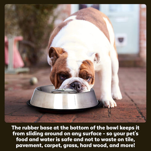 Iconic Pet Set of 2 Stainless Steel Anti-Skid Slow Feed Bowls - 12 oz for Small Dogs, Durable Design