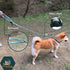6in1 Multifunctional Dog Leash - Hands Free, Adjustable Length (3'7"-6'7"), Forest Print for Medium and Large Dogs,