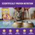Wellness Complete Health Natural Grain Free Wet Canned Cat Food, Minced Turkey Entree, 3-Ounce Can (Pack of 24)