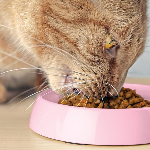 CatGuru Cat Bowls, Whisker Stress Free Cat Food Bowl, Non Slip Shallow Dish for Feeding & Watering Supplies (Set of
