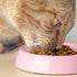 CatGuru Cat Bowls, Whisker Stress Free Cat Food Bowl, Non Slip Shallow Dish for Feeding & Watering Supplies (Set of
