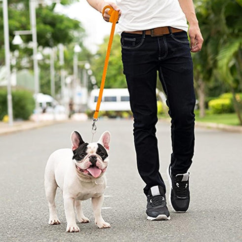 Downtown Pet Supply 50ft Long Dog Training Leash, Nylon Recall & Obedience Training Tools, Orange