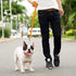 Downtown Pet Supply Long Dog Leash, 20 ft, Nylon, Orange, for Training & Obedience