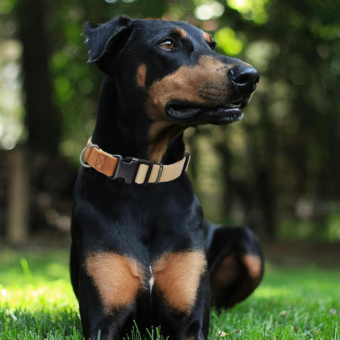Mile High Life Dog Collars | Soft Cotton Dog Collars w Heavy Metal Buckle | Classic Puppy Collar w Premium Genuine Leather Tips | Pet Collars for Large Dogs (Khaki)