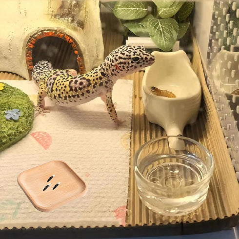 LYYZLFLDM 2 Pcs Leopard Gecko Potty Pad, Beech Crested Gecko Latrine Pad, Portable Gecko Tank Accessories for Reptile