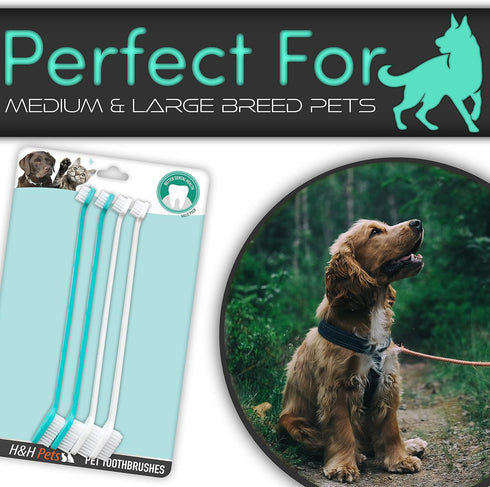 H&H Pets Dual Headed Dog Toothbrushes for Small & Large Dogs, Pack of 4 or 8 Counts