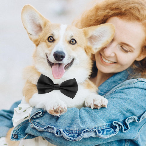 Black Dog Bow Tie, KOOLMOX Adjustable Bow Tie Collar for Medium and Large Dogs, Wedding Birthday Grooming Costumes