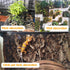 Cork Terrarium Background 15.7x11.8in Natural Large Cork Bark Backdrop for Reptile Habitat Decor (6PCS)