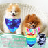 30 Pcs Tie Dye Dog Bandanas Bulk, Colorful Washable Triangle Pet Kerchief for Small Medium Large Dogs