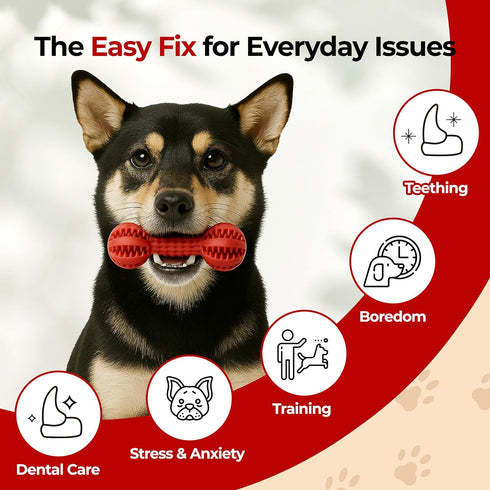 JAYU PET Toothbrush Toy Dog Chew Toy for Aggressive Chewers, Durable Dental Toy for Small & Medium Dogs, Teeth Cleaning