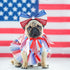 Weewooday 3 Pieces Girl Dog Costume, Patriotic 4th of July Tutu Skirt and Bowtie Headband for Small Dog Decorations