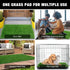 GLOBREEN Dog Grass Door Mat for Muddy Paws, 24 x 36 Inch, Indoor Outdoor Entryway Rug, Absorbent Machine Washable Turf