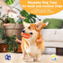 2.4" Squeaky Latex Dog Toy Ball Sports Balls Set, Soft, Bouncy & Durable for Small Medium Dogs, 5 Pcs/Set