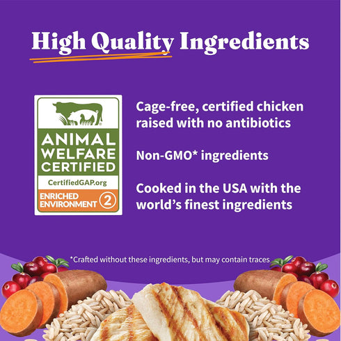 Halo Holistic Cat Food Dry, Cage-free Chicken Recipe, Complete Digestive Health, Adult Formula, 3-lb Bag