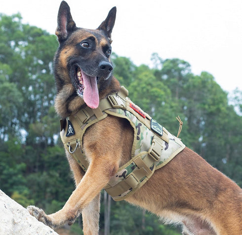 Tactical Dog Harness Vest with Handle, Adjustable No-Pull Service Dog Vest for Large Medium Dogs, Camo