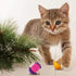 Weewooday 6 Pieces Cat Toy Ball, Sisal Ball Interactive Rolling Scratch Cat Toy (Random Color)