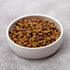 Classic Ceramic Pet Bowl for Cats, 12 Ounce Dish for Food and Water