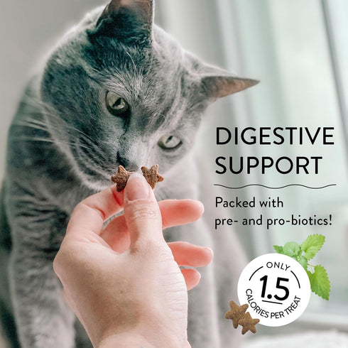 Shameless Pets Crunchy Cat Treats - Catnip Treats with Real Chicken, Digestive Support, 3-Pk