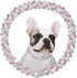 Metal Dog Training Chain with Secure Buckle, Cuban Diamond Collars for Large Medium Dogs