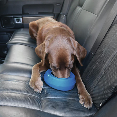 Kurgo Splash Free Wander Water Bowl - Portable No Spill Dog Travel Bowl, 24 ounces (Coastal Blue)