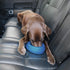 Kurgo Splash Free Wander Water Bowl - Portable No Spill Dog Travel Bowl, 24 ounces (Coastal Blue)